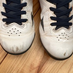 スパイクの画像