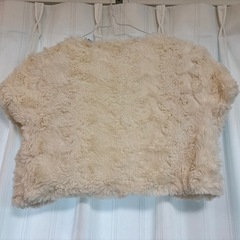 パーティーボレロ①の画像