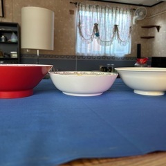 値下げしましたプラスチック皿、お椀の画像