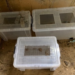 マウスゲージ5個※自作※の画像