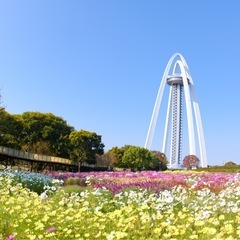 土木工事現場の建設作業員の画像