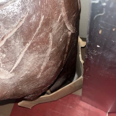 狸の置物　信楽焼の画像