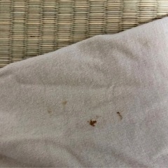 DAKS カーディガンの画像