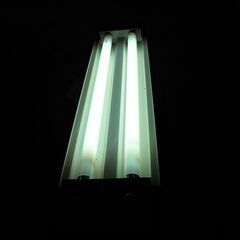 2灯式 天井 照明灯/蛍光灯　中古品の画像