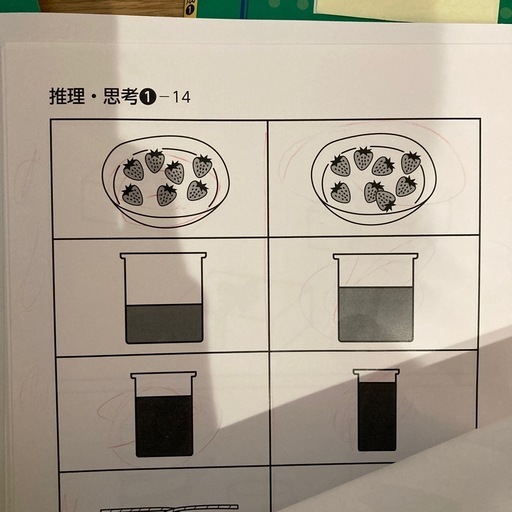 伸芽会　　　入門編セット