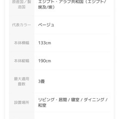 エジプト製 ペルシャ風ラグの画像