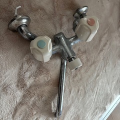 蛇口の画像