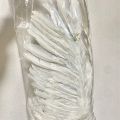 羽根　コスプレ用の画像
