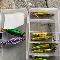 ステラとルアーの画像