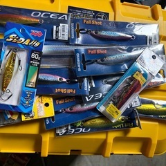 ステラとルアーの画像