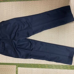 ワークマンスラックスの画像