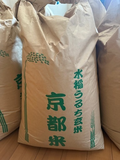 【令和7年】コシヒカリ玄米　京都府産　10kg  