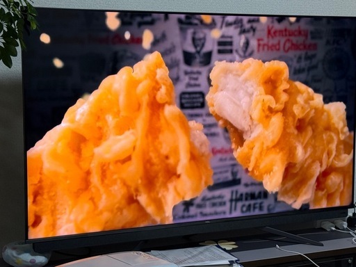 液晶テレビ65㌅