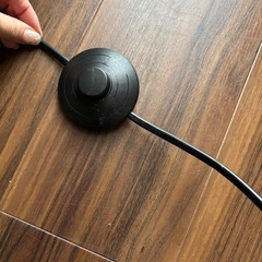 【2月中旬まで】アイリスオーヤマ　フロアライトの画像