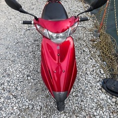 SUZUKI アドレスv50 実働　CA4BA 後期モデル　4サイクルFI車　激安　大人気車種の画像