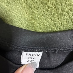 トレーナー100の画像