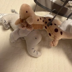 オルゴールメリー　　トラセリアの画像