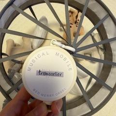 オルゴールメリー　　トラセリアの画像