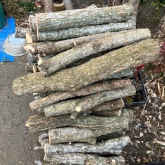 くぬぎ　細い　薪　未乾燥　約145kg　約377本の画像