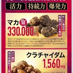 【新品】テナシア マカ サプリ 亜鉛 精力 活力 男性向け 筋トレ トレーニング 60粒 栄養機能食品 アルギニン シトルリン 国内製造の画像