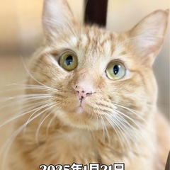 とにかく甘えん坊のたて丸くん