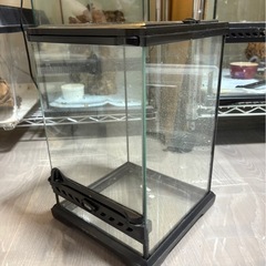 エキゾテラ　ガラスケージ　の画像
