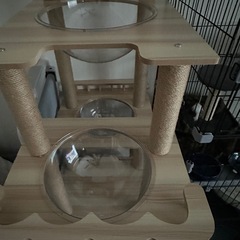 新品‼️木製キャットタワーの画像