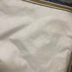 メーカー不明　保冷バック　縦25㎝横35㎝高さ29㎝　外側シミあります。の画像