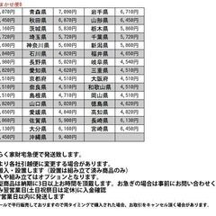 【発送の場合は即購入不可】 Fritz Hansen ヤコブセン ANT アントチェア アリンコチェア ダイニングチェア 椅子 フリッツハンセン デンマーク モダン 名作 98019の画像