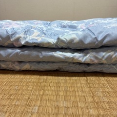【新品・未使用品】羽毛肌掛け布団　ブルーの画像