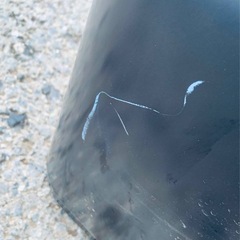 MAXZEN 全自動電気洗濯機　JW50WP01BKの画像