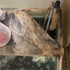 60cmガラス水槽の画像