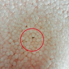 リッチェル ひんやりしないおふろマットRの画像