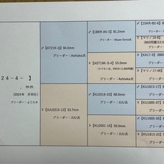 オオクワガタ（久留米産
）　未使用　新成虫ペアの画像