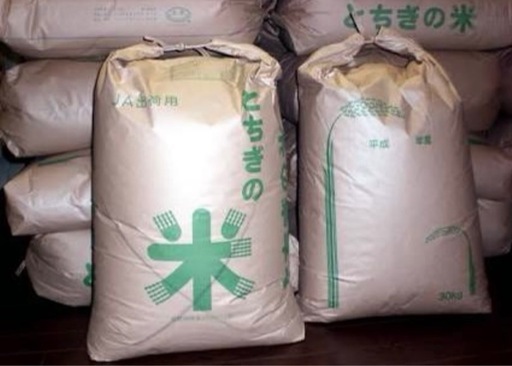 令和7年度栃木県産コシヒカリ玄米30kg