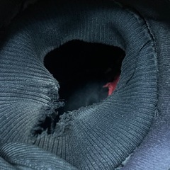 ☆ 無料 バイク ハンドルカバー ☆の画像