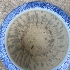 メダカ　壺　鉢　容器の画像