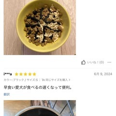 フードボウル/早食い防止/Mサイズ/吸盤/ブラックの画像