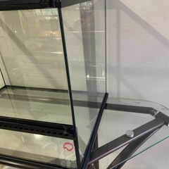 グラステラリウム 4560の画像