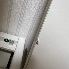 Nitori ローテーブルの画像