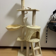 キャットタワーの画像