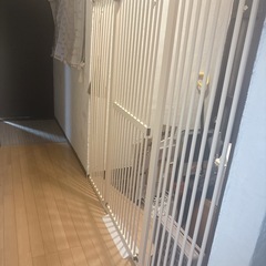 ペットゲート　ベビーゲート　高さ155㎝　幅調節可　〜172cm 2万円相当の画像