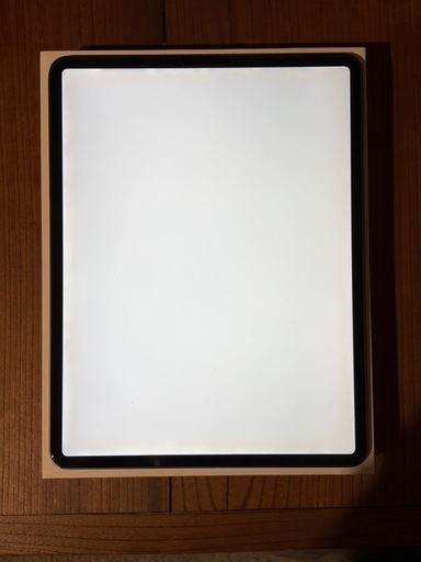 【Pencil付き！】iPad Pro 12.9 第4世代 256GB スペースグレー
