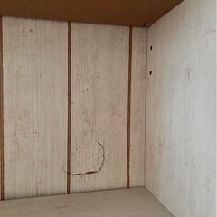 ニトリ  キャビネットの画像