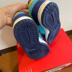 ナイキ　Nike   Dunk Low  キッズ　スニーカー　  23センチの画像