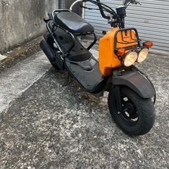 人気ズーマーの画像