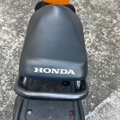 人気ズーマーの画像