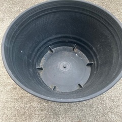 メダカ　鉢　容器の画像