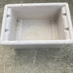 メダカ　容器　発泡①の画像