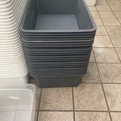 メダカ用品　まとめての画像